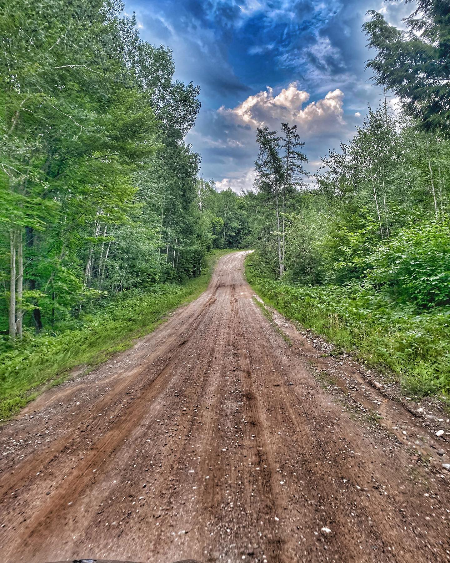 a path with trees on the side of a dirt road