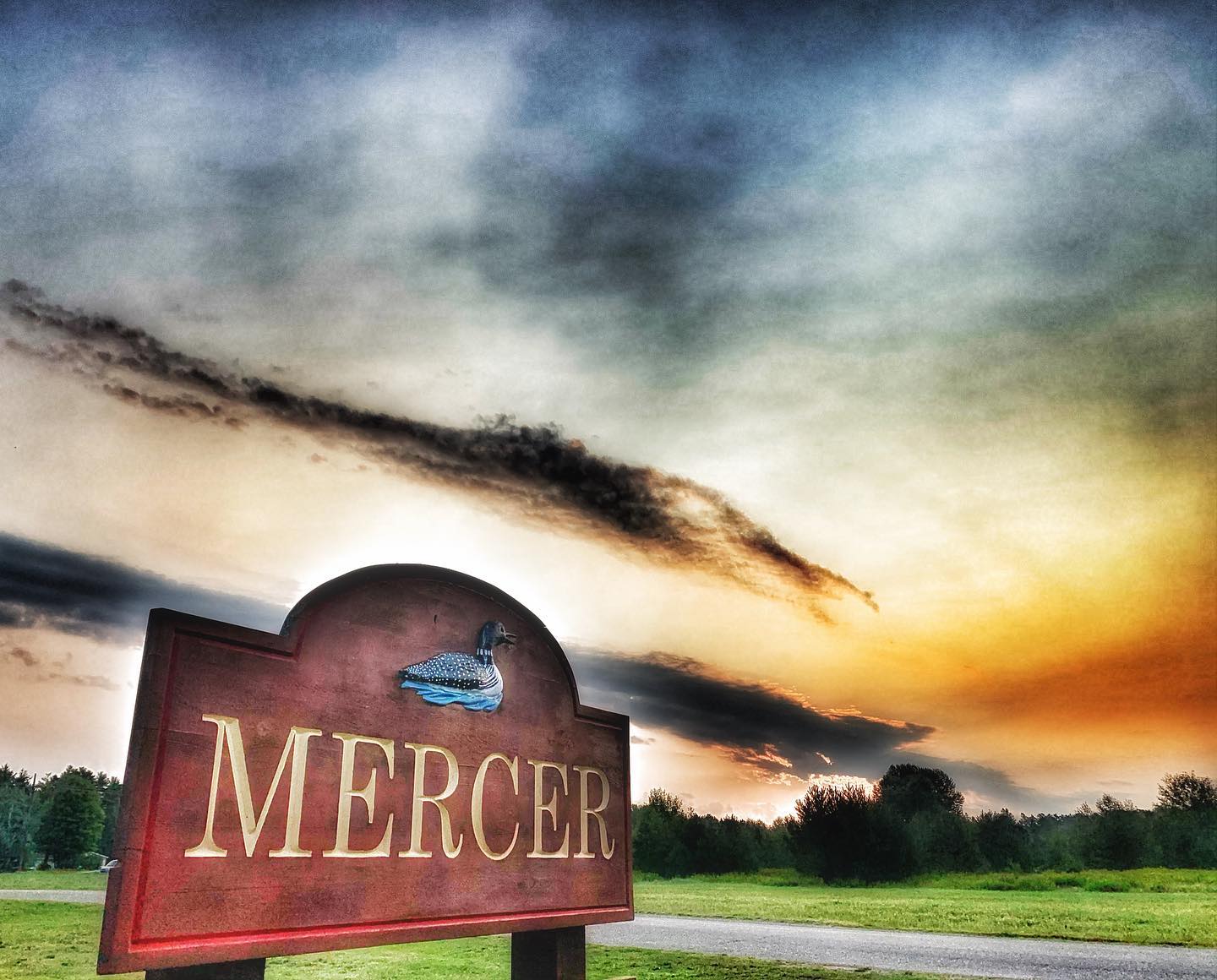 a sign in the middle of a field